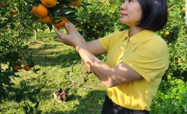 Chị Vũ Thị Lệ Thủy, tấm gương làm kinh tế nông thôn ở tỉnh Hòa Bình