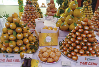 HTX thành công từ sản xuất xanh, sạch, an toàn